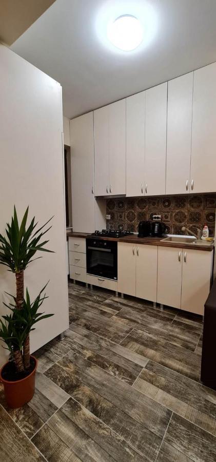 Designed Like Home Apartment Near Palas Mall Ιάσιο Εξωτερικό φωτογραφία